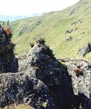 Imagen Cerro Yayurco